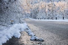 snowy curve in road
